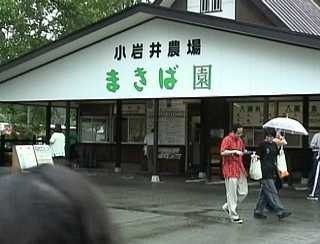 �����_��Image