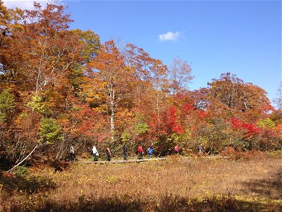 �V������