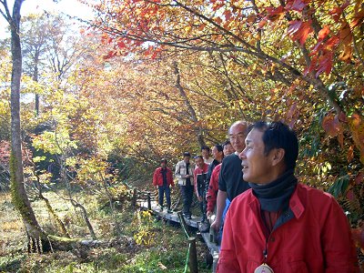 �V������