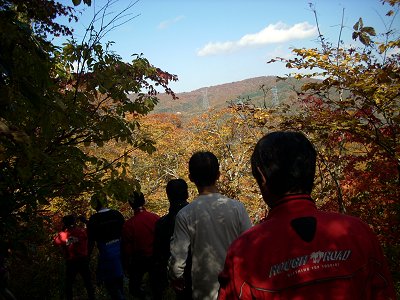 �V�������T���H