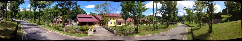 �R�V���p�m���}