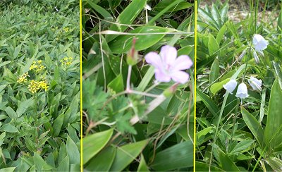 ���R�A��