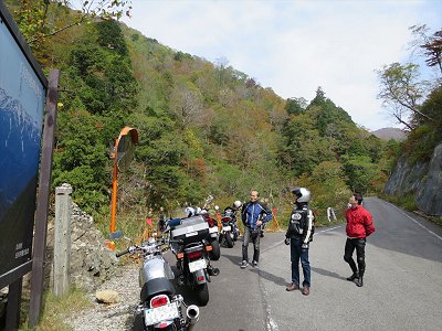 �V�����Q