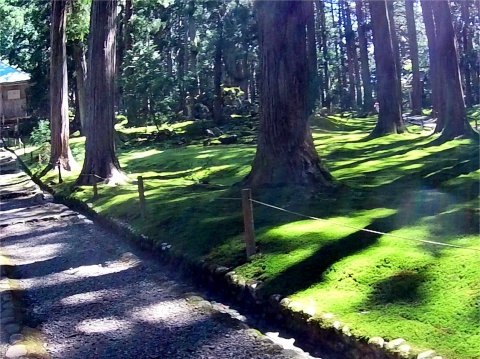 平泉寺白川神社4
