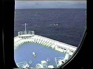 �D�� Graphical Image