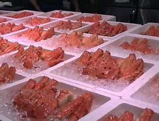 �^���o�̌Q�� Graphical Image