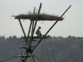 Noto Graphical Image